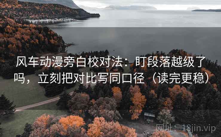风车动漫旁白校对法：盯段落越级了吗，立刻把对比写同口径（读完更稳）