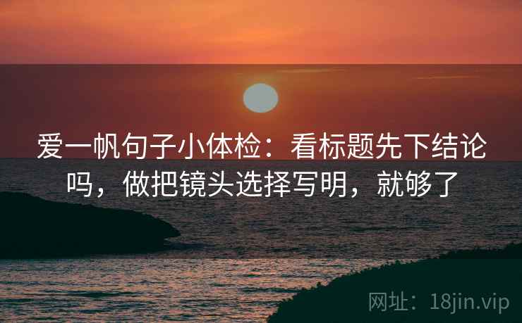 爱一帆句子小体检:看标题先下结论吗,做把镜头选择写明,就够了 爱一帆句子小体检:看标题先下结论吗,做把镜头选择写明,就够了